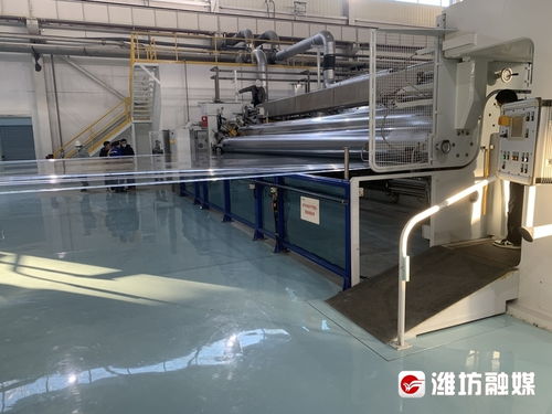 滨海区 厚植发展沃土 激发经济活力